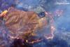SWIR on WorldView-3 can see through dense fire smoke detecting hot spots and flame fronts.