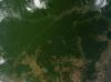 Satellite image of the Amazon