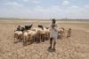 During drought even drinking water can become scarce in Maharashtra (Image: Hemant Mishra/Mint)