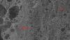 Image by the satellite TerraSAR-X showing two vessels trapped in the Antarctic