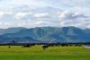 Western Ghats mountain range