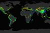 This set of 12 still images show the potential landslide by month averaged over the last 15 years. Image: NASA.