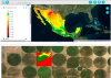 Snapshot of the SIRIS platform in action. Image: Mexican Space Agency (AEM)