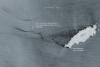 Sentinel-1 Image showing the Tobago Oil Spill on 14/02/2024