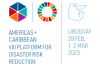 UNDRR Regional Platform Americas