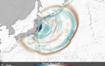 Researchers from NASA’ Jet Propulsion Laboratory (JPL) and the Ohio State University (OSU) used satellite altimeters to observe “merging tsunamis”. The image comes from a data-based computer model that shows Tohoku-oki tsunami waves propagation. Waves peaks are depicted in red-brown, while depressions in sea surface appear in blue-green. Grayscale outlines show the location of mid-ocean ridges, peaks, and islands. Image: NASA.