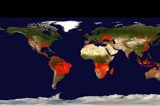 Global distribution of fire occurrences over a 10-day period by the beginning of the week