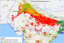 Map showing the present state of maturity of crops around the world. Image: IWMI