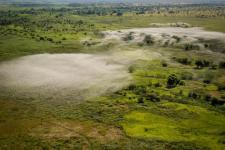 Nube de langostas migratorias malgaches vista desde un helicóptero. Imagen: FAO.