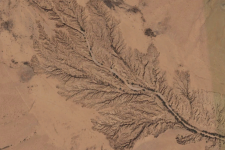 Gully erosion in northern Somalia. Image: Google Earth.