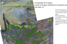 Identified locust reproduction zones at the border between Libya and Algeria