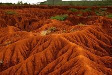 Soil Erosion