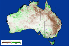 Producto NDVI de 8 días basado en MODIS para Australia del 1 al 9 de enero de 2014