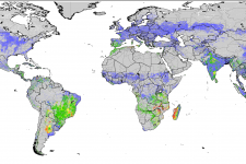 Índice de estrés agrícola. Imagen: FAO.