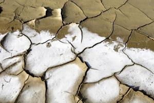 UNCCD Executive Secretary Luc Gnacadja: "Do not let our future dry up”