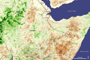 Drought in Ethiopia in 2008, seen from Space by SPOT Vegetation satellite