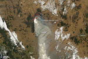 The bushfire in Grampians National Park burned 43,000 hectares (106,000 acres)
