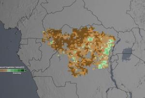 The studies analyzed the "greenness" of the Congo rainforest