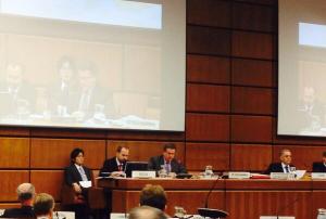 Mr Luc St-Pierre presented the UN-SPIDER programme's recent activities to COPUOS