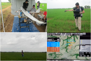 Estimation of the Normalized Differences Vegetation Index of a rice field