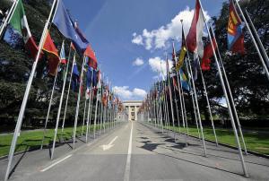 Member States delegations convened in Geneva