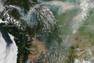 The image captured by MODIS shows dozens of wildfires in Canada 