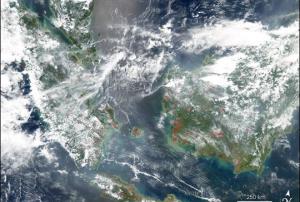 NASA’s Aqua satellite detected fires in Malaysia and Indian Ocean 's islands