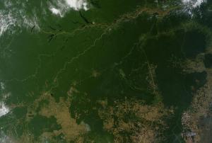 Satellite image of the Amazon