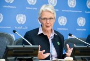 UNISDR head Wahlström urges world leaders to take action on disaster risk reduction