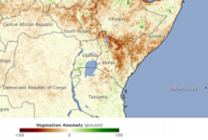 Kenya vegetation anomaly during 2011 drought (Image: NASA/ J. Allen)