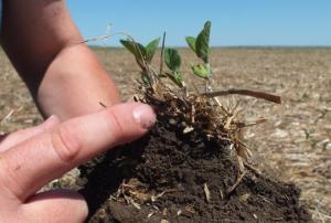 Spaced based data about the consistency of soil can help farmers make better decisions (Image: USDA-NRCS)