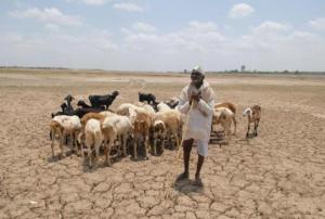 During drought even drinking water can become scarce in Maharashtra (Image: Hemant Mishra/Mint)