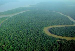 The Solimoes River, a branch of the Amazon River in northern Brazil, has caused major floods in the Amazonas state (Image: Catedral Verde - Floresta Amazonica)