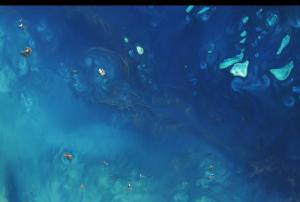 Great Barrier Reef in Australia seen from space (Image: USGS/ESA)