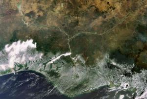 The Niger delta (Image:ESA)