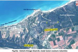 Extract from ALSAT-2A image of Benabdelmalek Ramdane in Mostaganem Province, Algeria (Image: ASAL)