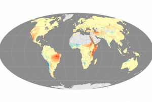 Fire seasons have become longer in areas marked with red and orange (Image: NASA)