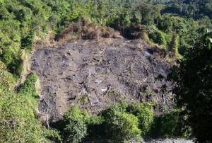 Land cleared for "jhoom", a traditional shifting cultivation in Northeast India (Image: Prashanthns)