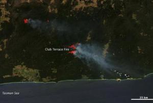 Satellite image of blazing bushfires in Victoria, Australia (Source: NASA)