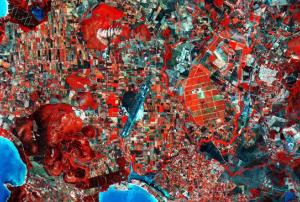 Image captured by Sentinel-2A satellite on the vegetation of Northwest Sardinia, Italy (Source: ESA)