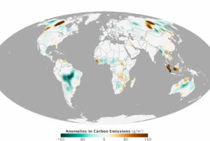 Difference from average emissions for 2014 in grams of carbon per square meter per year (Image: NASA)