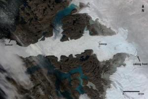 Satellite image of Jakobshavn glacier´s calving process (Image: ESA)