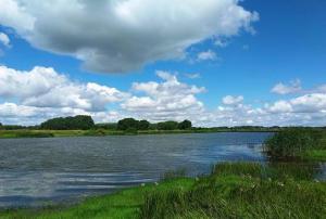 Lake in Kachalinskaya, Volgogradskaya oblast Russia.