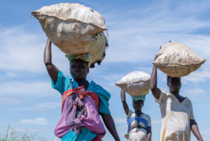 Screenshot of "The state of food security and nutrition in the world" by Food and Agriculture Organization of the United Nations (FAO) 