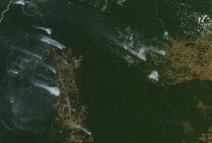 Forest fires in the Amazon. Image: NASA Earth Observatory.