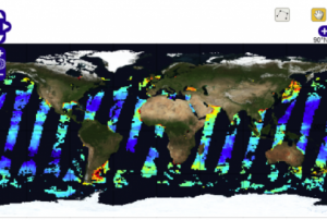 Screenshot of Global Ocean Chlorophyll 