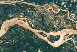 Image of Parana River Flood Plane