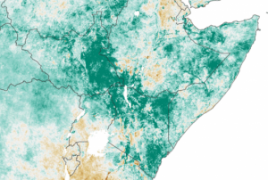 NDVI Anomaly. Image: NASA