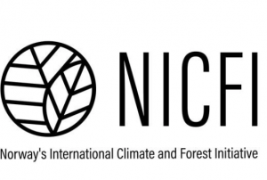 Official Logo of NICFI. Image: NICFI.