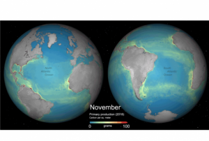 Global monthly primary productivity. Image: ESA